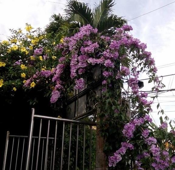 Hotel Sang yoo mountain view tagaytay   Taal Lake View