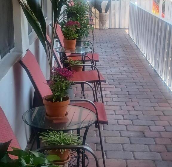 酒店 The Big Coconut Guesthouse   Gay Men S Resort