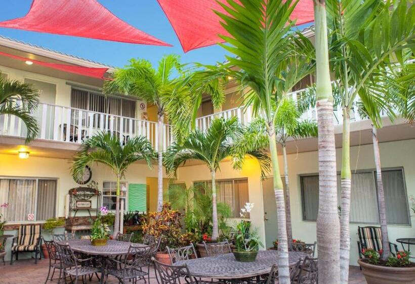 酒店 The Big Coconut Guesthouse   Gay Men S Resort