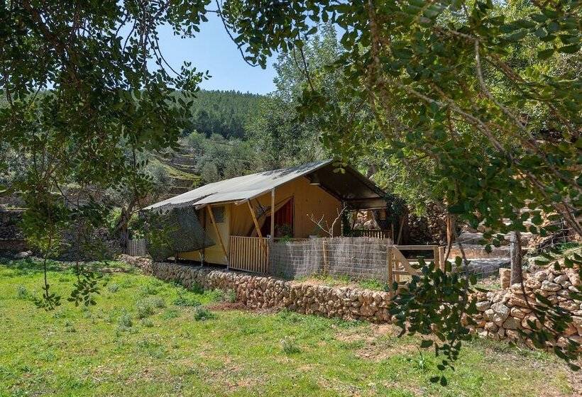 酒店 Valley Club Ibiza   Boutique Agroturismo