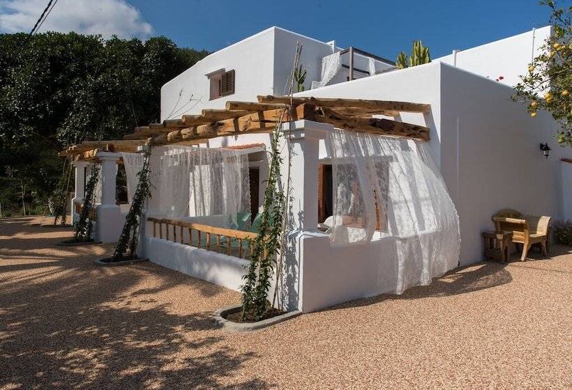 酒店 Valley Club Ibiza   Boutique Agroturismo