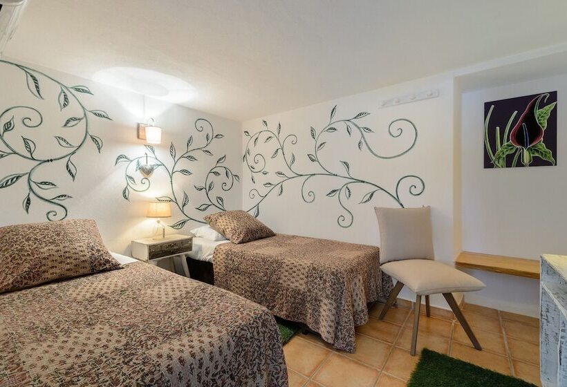 酒店 Valley Club Ibiza   Boutique Agroturismo