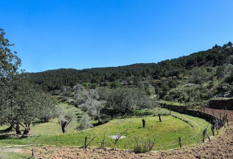 酒店 Valley Club Ibiza   Boutique Agroturismo