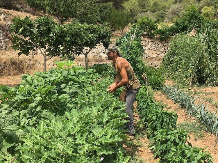 酒店 Valley Club Ibiza   Boutique Agroturismo