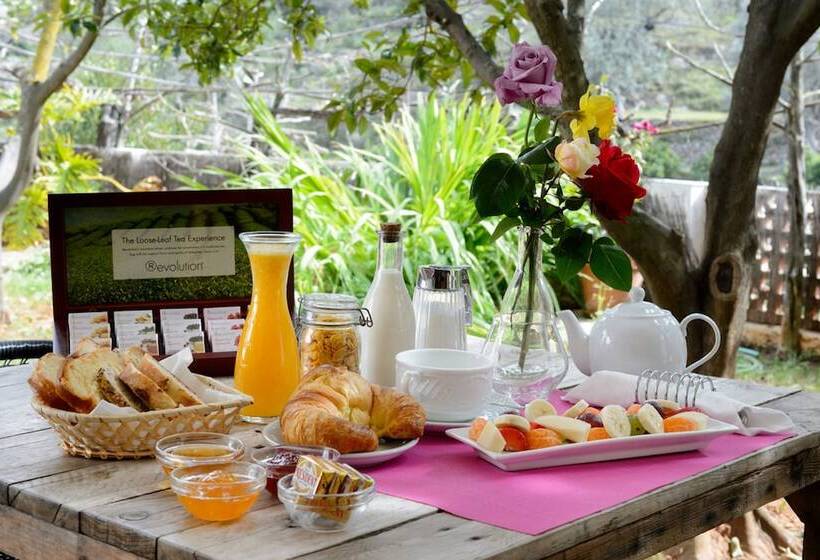 酒店 Valley Club Ibiza   Boutique Agroturismo