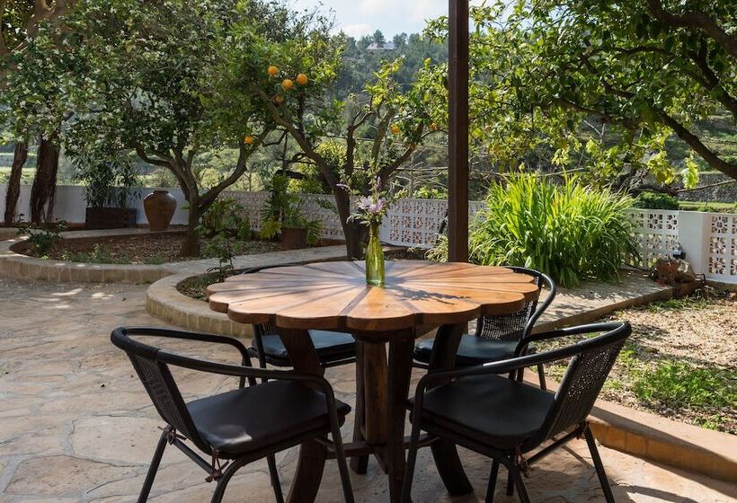 酒店 Valley Club Ibiza   Boutique Agroturismo