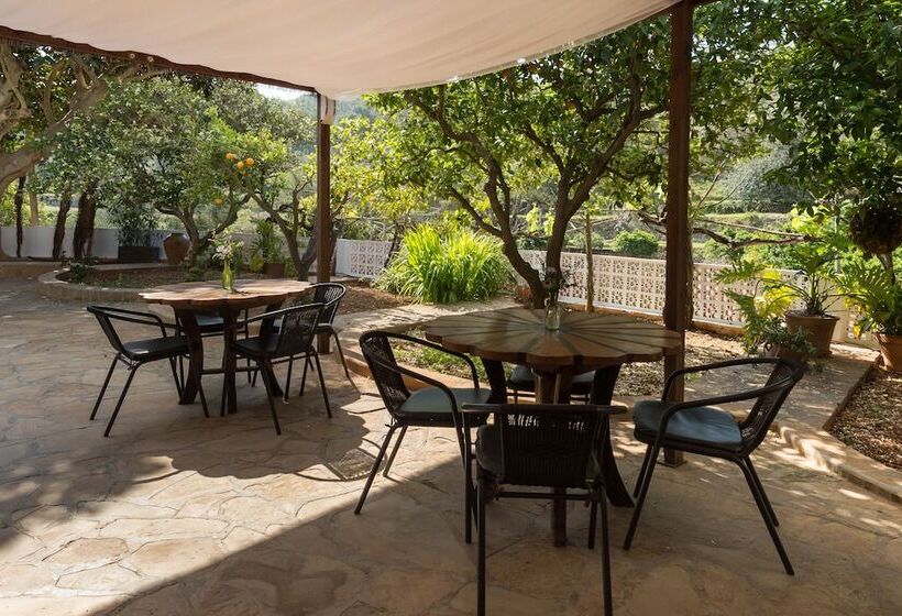 酒店 Valley Club Ibiza   Boutique Agroturismo