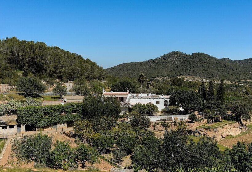 酒店 Valley Club Ibiza   Boutique Agroturismo