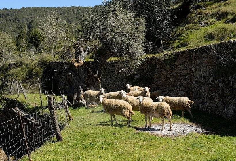 酒店 Valley Club Ibiza   Boutique Agroturismo