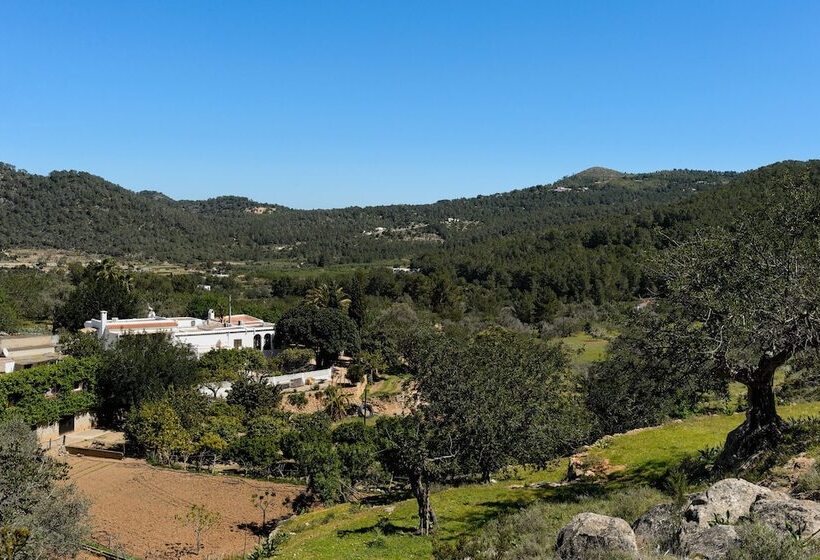 酒店 Valley Club Ibiza   Boutique Agroturismo