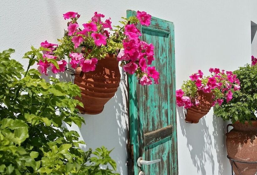 فندق Villa Anna Maria