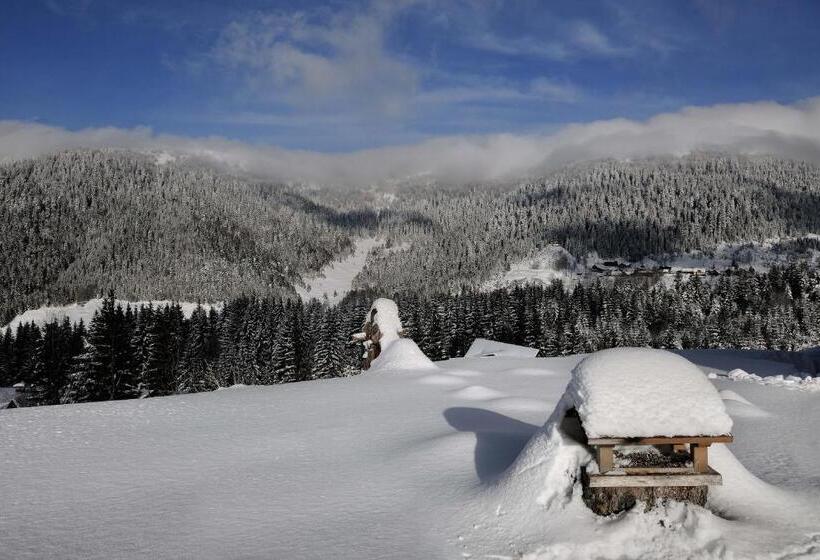 Отель Villa Gloria Rooms & Apartments