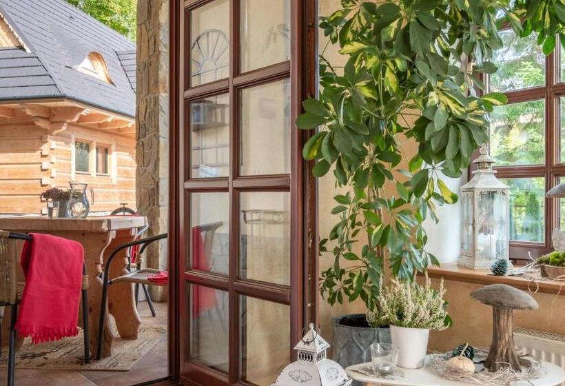 Отель Willa Bór