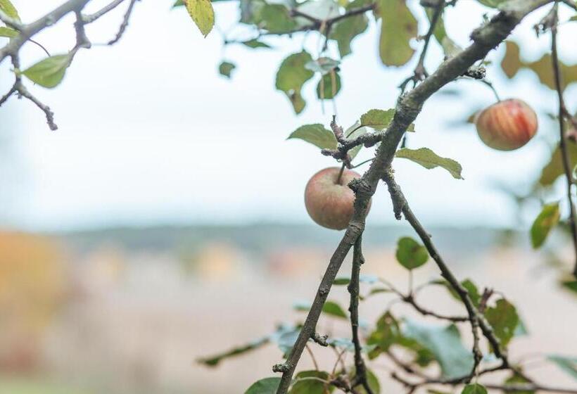 בית מלון כפרי Zur Linde Dein Self Check In