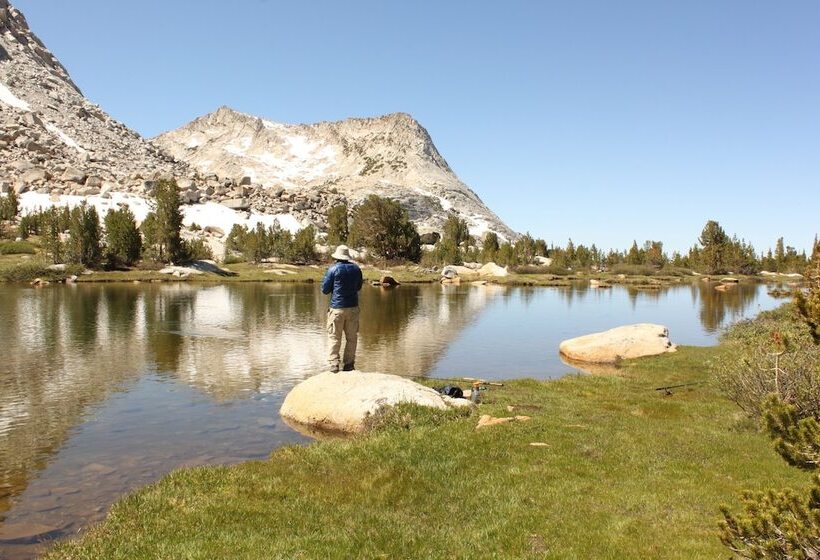 Inside Yosemite Mountain Beauty
