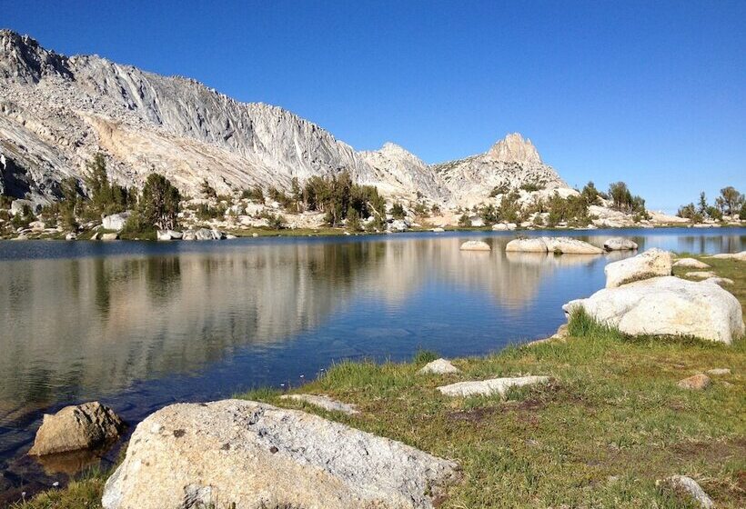 Inside Yosemite Mountain Beauty