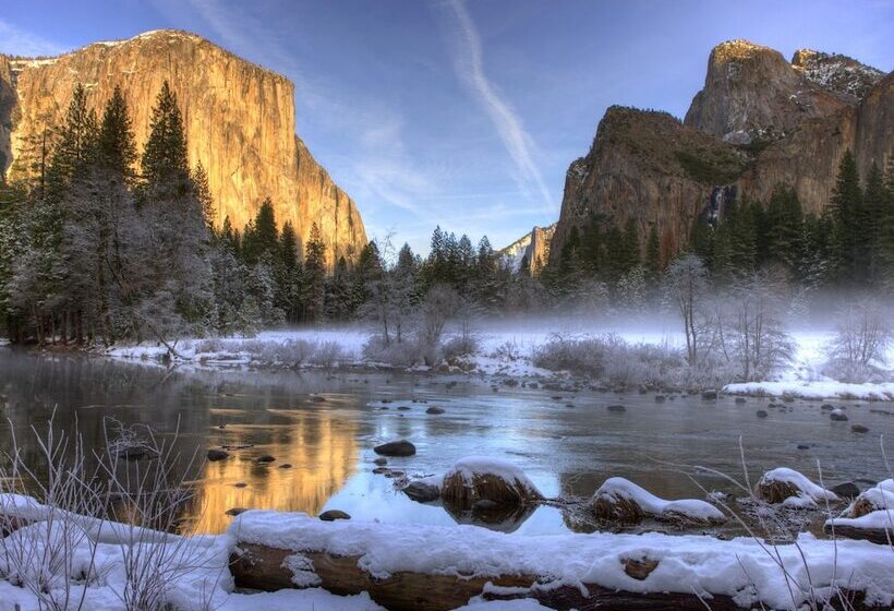 Inside Yosemite Mountain Beauty