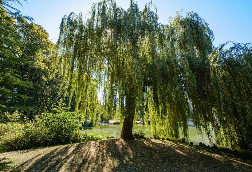 Residence Des Thermes