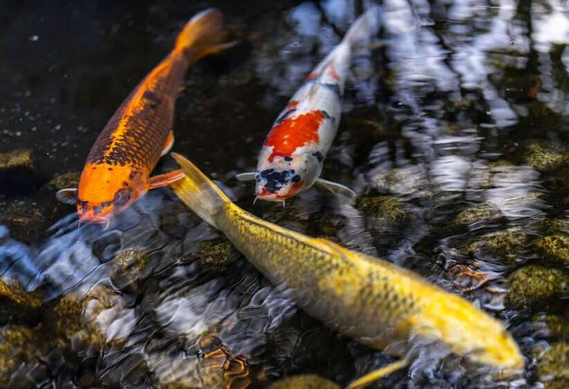 료칸 Ishinoya Izu Nagaoka