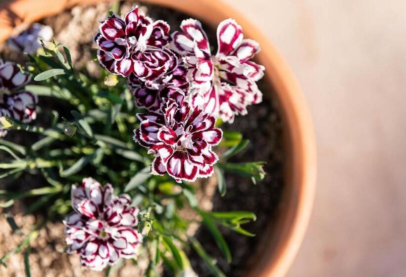 Sarakinas Residences