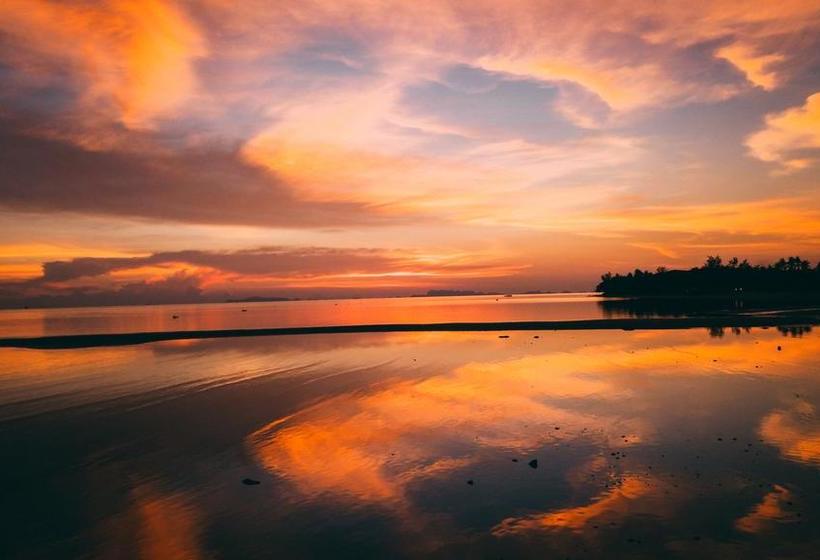 Dancing Elephant Beach Club Hostel