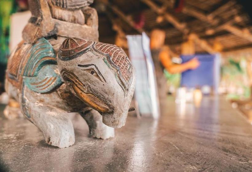 Dancing Elephant Beach Club Hostel