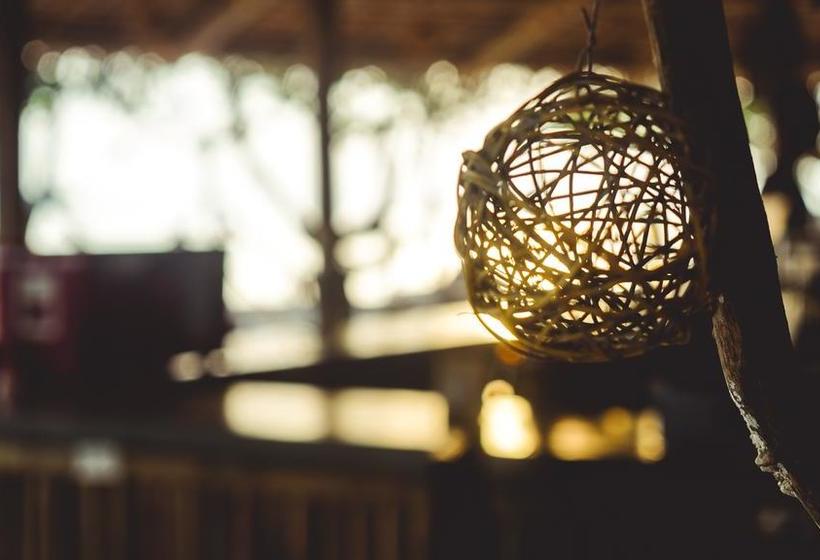 Dancing Elephant Beach Club Hostel