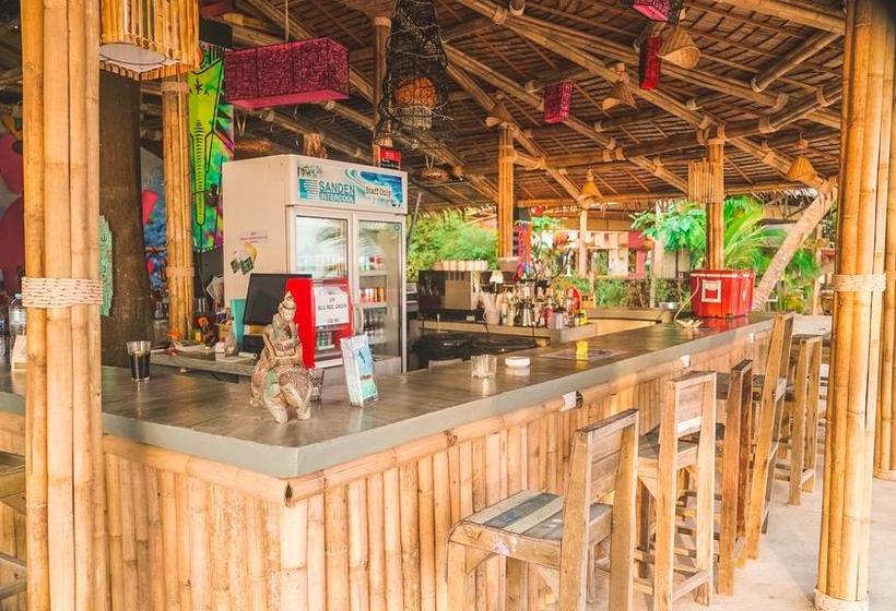 Dancing Elephant Beach Club Hostel