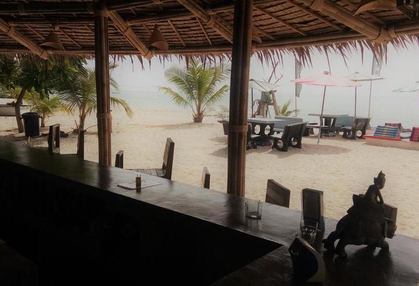 Dancing Elephant Beach Club Hostel