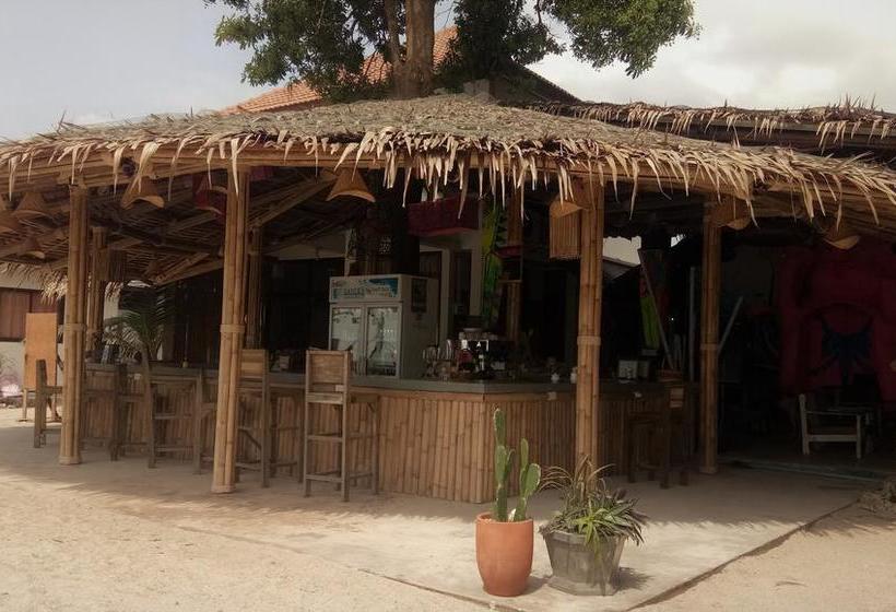 Dancing Elephant Beach Club Hostel