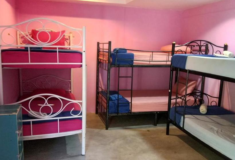 Dancing Elephant Beach Club Hostel