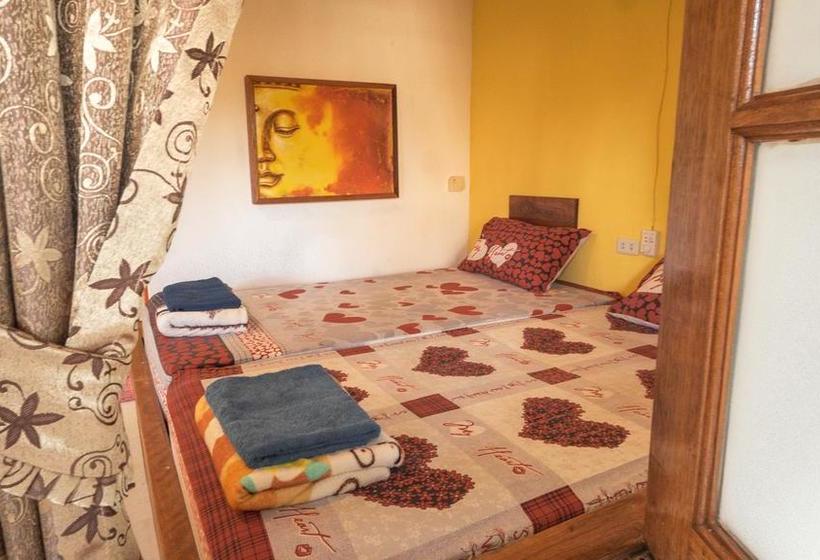 Dancing Elephant Beach Club Hostel