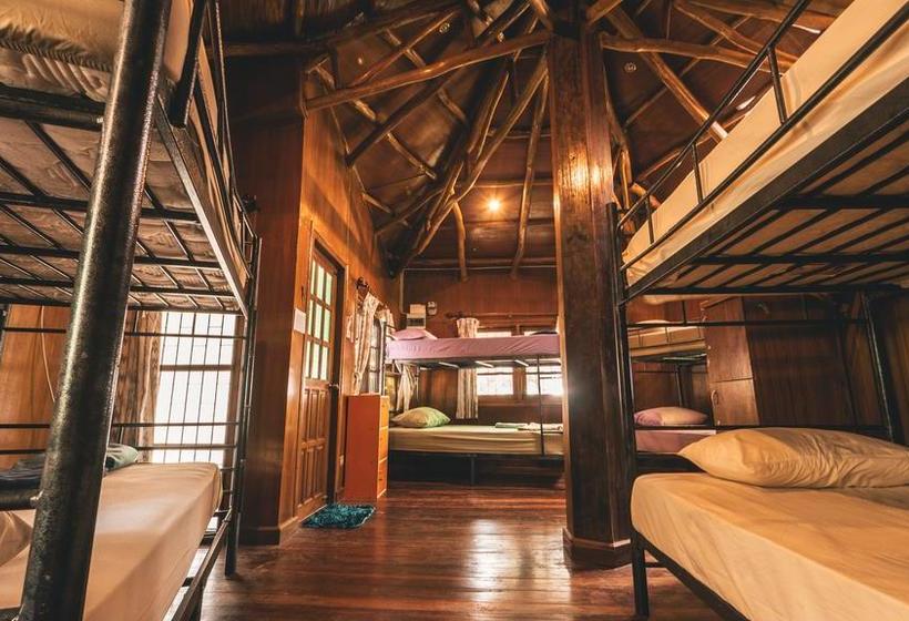 Dancing Elephant Beach Club Hostel