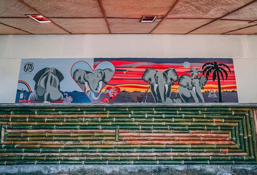 Dancing Elephant Beach Club Hostel