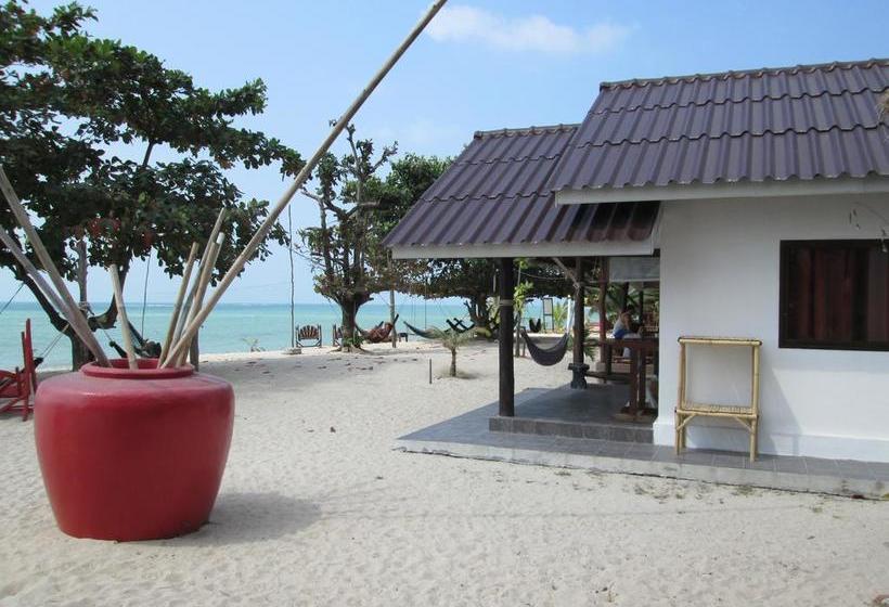 Dancing Elephant Beach Club Hostel