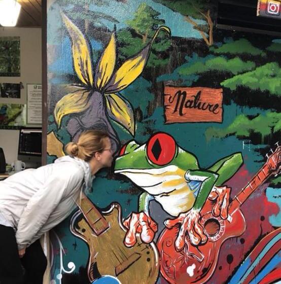 Casa Jungle Monteverde B&b