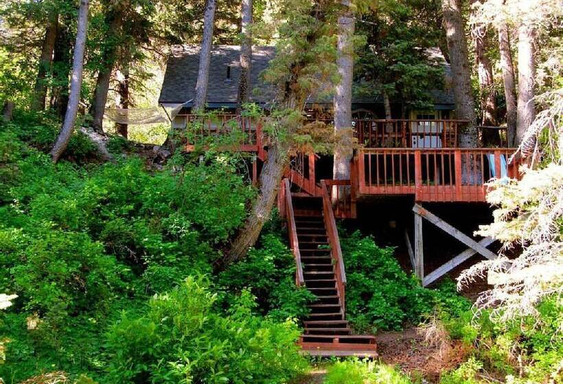 Hideaway Above The Stream