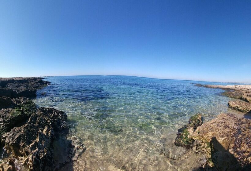 ホテル Agricamper Torre Sabea