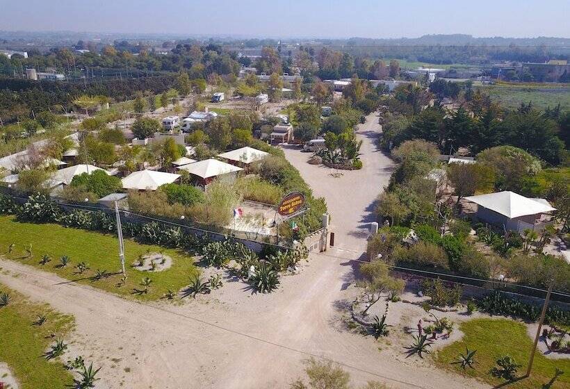 ホテル Agricamper Torre Sabea