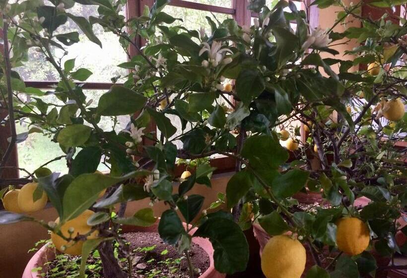 ホテル Agriturismo La Palazzina