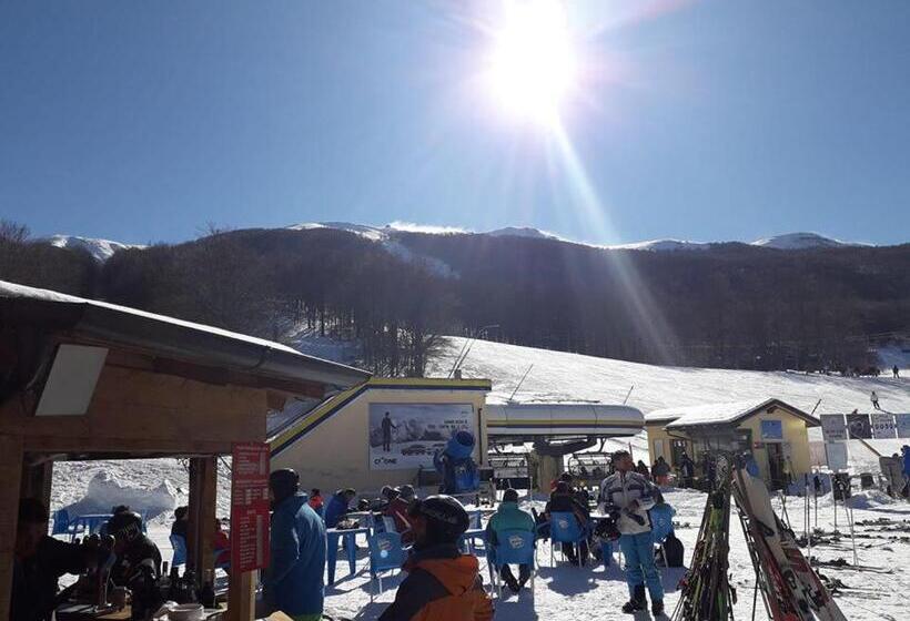 酒店 Albergo Capriolo