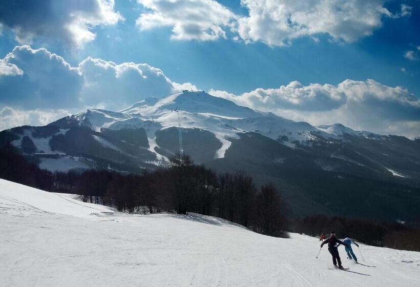 酒店 Albergo Capriolo