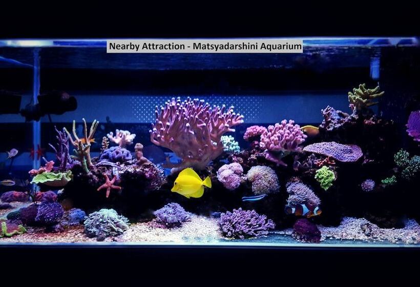 Collection O 5362 Hotel Spar Grand