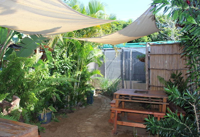 فندق Gala Gala Eco Resort