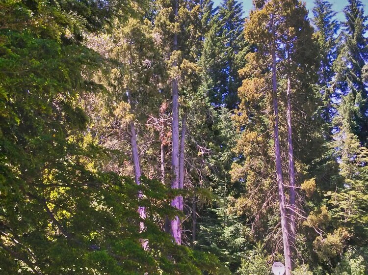 בית מלון כפרי Hosteria Cohuel