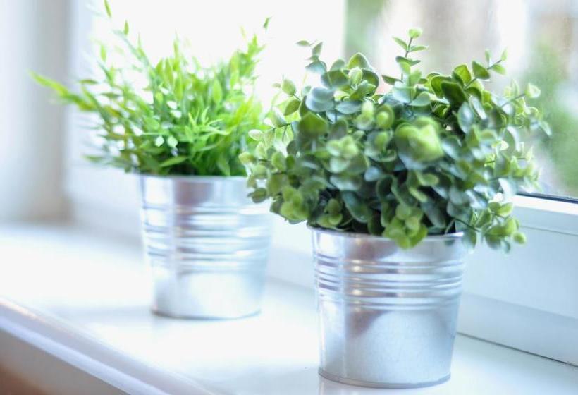 ホテル Midtown Hostel