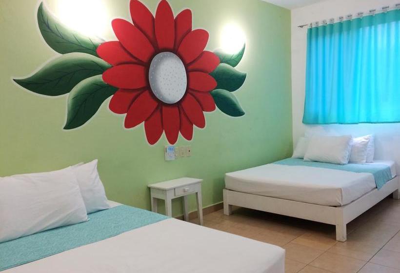 酒店 Playa Del Sol By Rotamundos