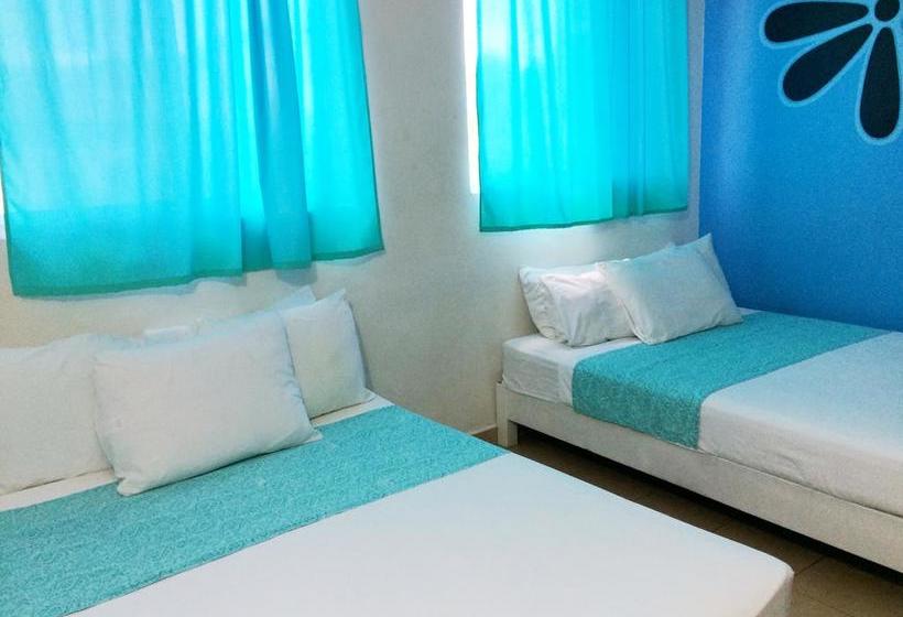 酒店 Playa Del Sol By Rotamundos