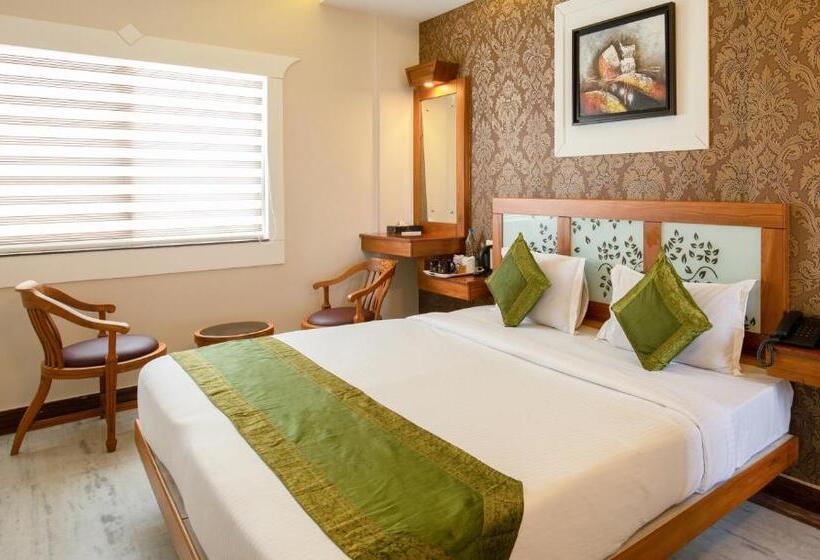 酒店 Treebo The Qasr