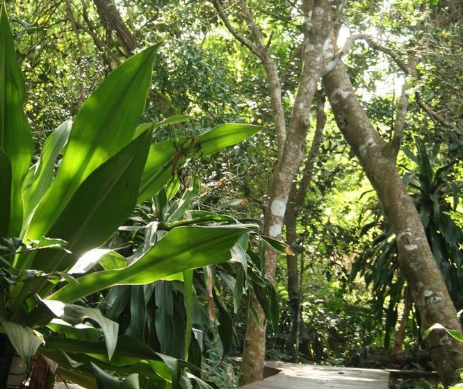 בית מלון כפרי Vista Alta Lodge